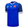 Maillot de Supporter Slovaquie Domicile 2024-25 Pour Homme